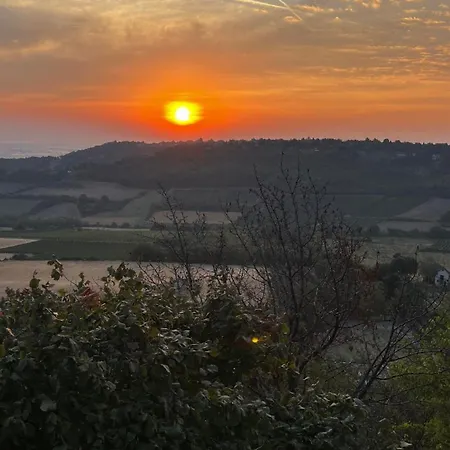 Pokito House On The Hill